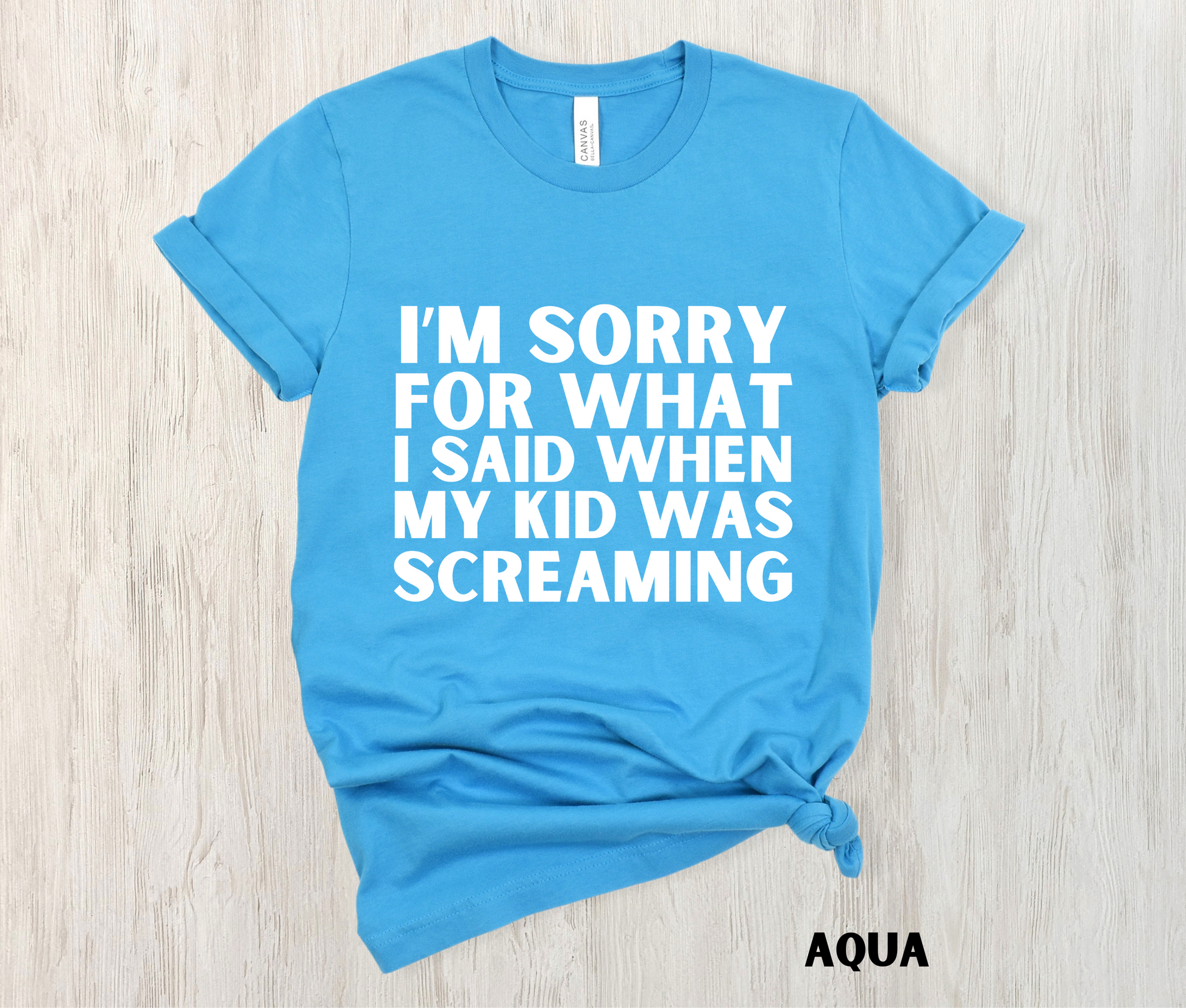 Aqua colored funny mom shirt - I'm Sorry for what I said when my kid was screaming in white